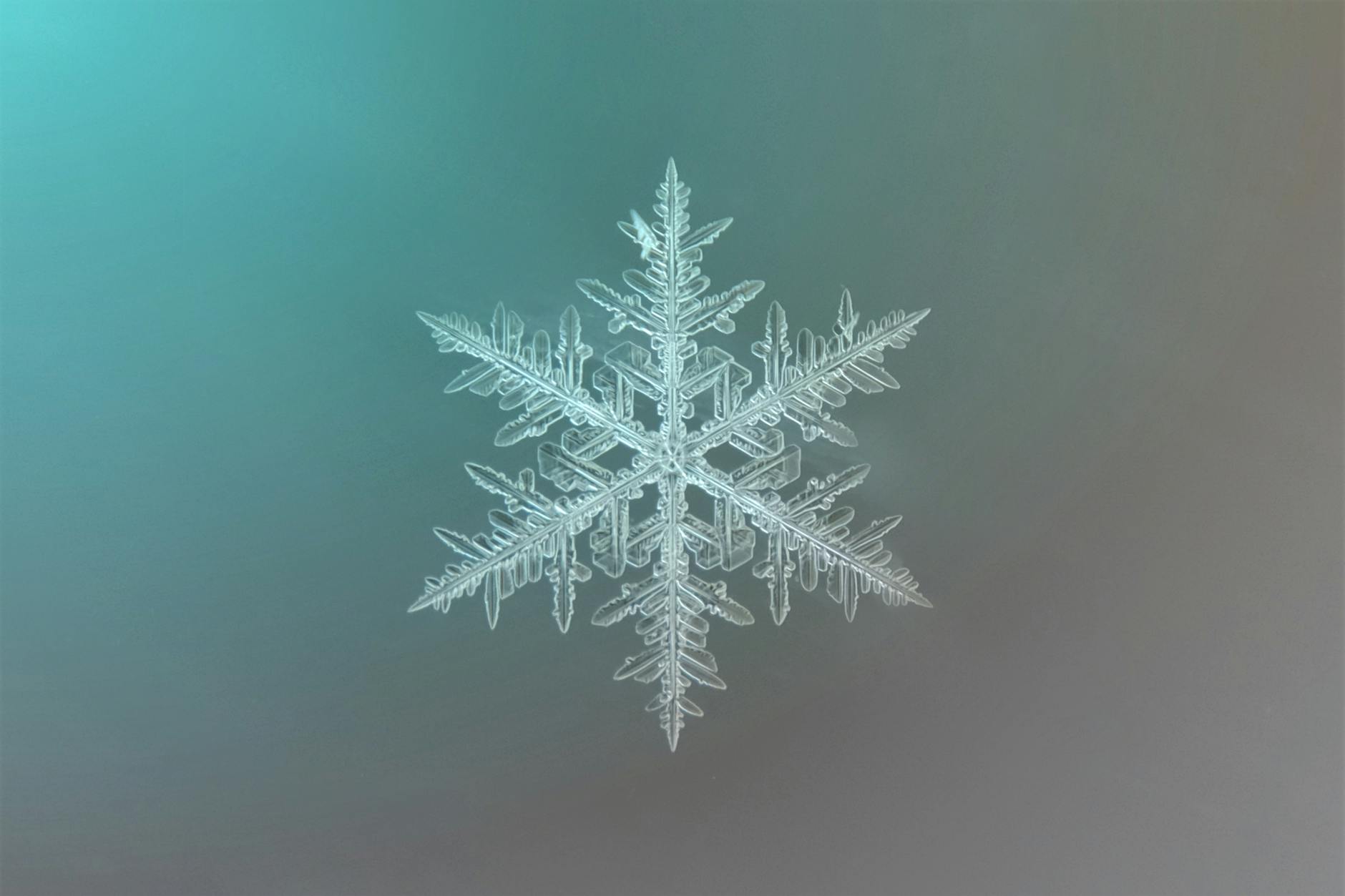 close up of a unique snowflake on gradient background